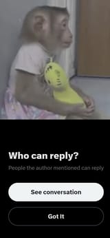 the moneky is sad because she cant reply