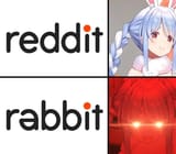 1723919729004495