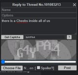 captchag4ypa4