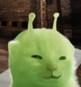 1738380278987793