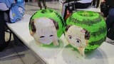 @5lovelacus watamelon holofes lanterns