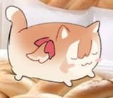 nur(bread(cat))