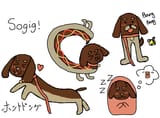 sogig doggy
