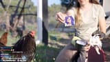 The cock knows best