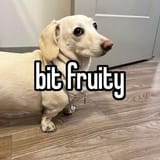 1736713792251308