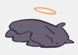 Tako_Dead