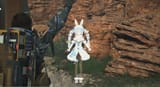 ds pekora