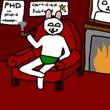 phd in stupid