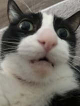 GsmpDH1W0AA2Qus