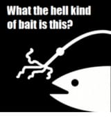 wtf_bait