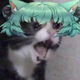 DM Scream