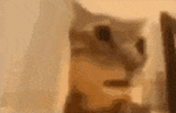 1725985824406404