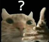1728314923272099