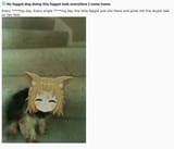 KoragiEveryDay