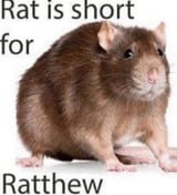 1739293964939582
