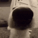 1723620110189685