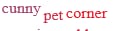 cunnypetcorner