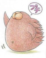 images(2)