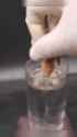 1720706134644232_thumb.jpg