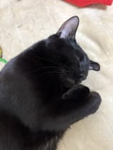 GpIBWQPbEAANZvl