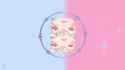 Fuwacube[sound=files.catbox.moe%2Fla6hl9.ogg]_thumb.jpg