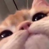 1749379653092439