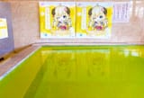Watame piss pool
