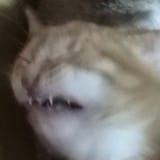 1506291461387