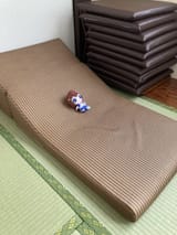 1727718479385884