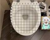 mintoilet