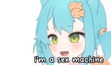 53526663