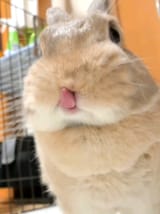and now a silly one