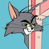 55