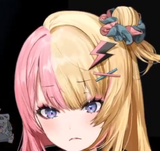 kotoka sad