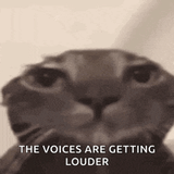 LOUDER