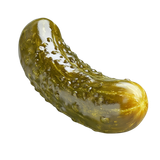 4545