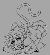 Amicat about to pounce