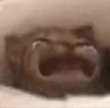 waaaaah