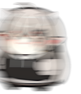 FatSaruZoom
