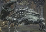 Great_crab