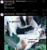 crabgoon