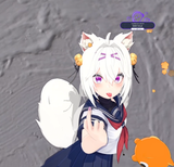 flippinthabird