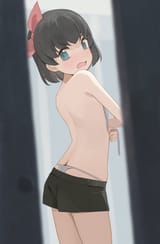 33355528