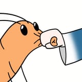 Stop the chus