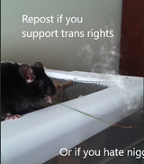 racistrat