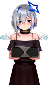 00011-406811481
