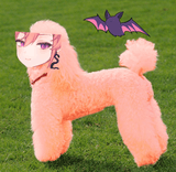 runie roodle[sound=files.catbox.moe%2F9tyeis.mp3]