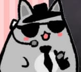 46627