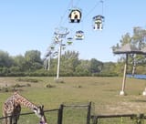 gondola park