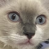 GtkiX0VbQAE8Jqp